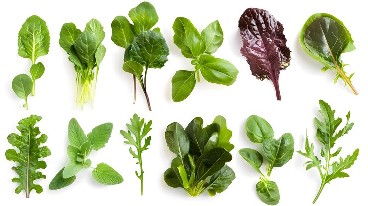 Foto uma variedade de vegetais e ervas frescas de folhas verdes em fundo branco