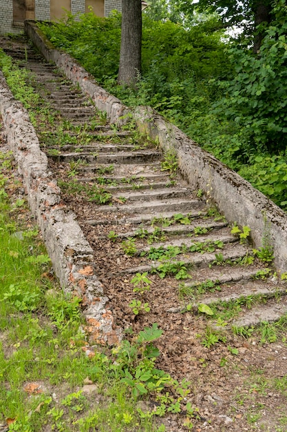 Uma velha escadaria de pedra em ruínas para o topo coberto de grama