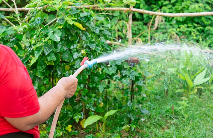 Uma velha que não tínhamos como saber estava regando as plantas do quintal com água muito forte.