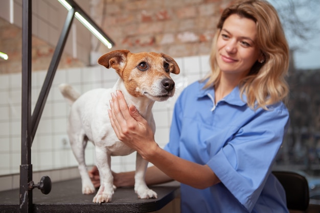 Uma veterinária fêmea amigável que trabalha em sua clínica