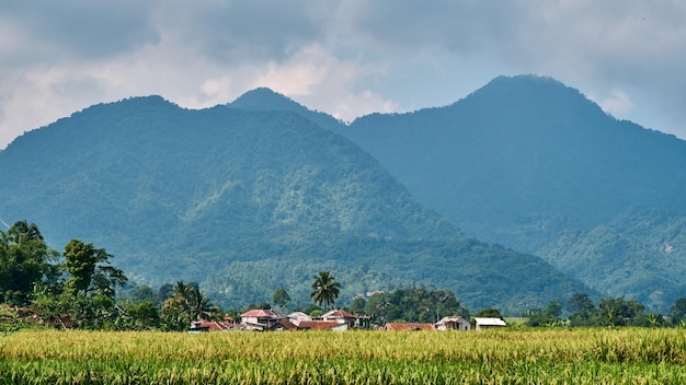 Uma vila nas montanhas das filipinas