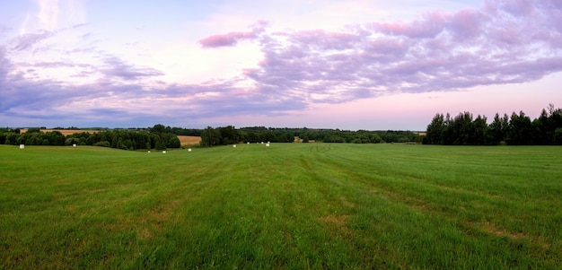 Uma visão panorâmica de um colorido pôr do sol de verão com belas nuvens e raios solares com um grande campo gramado em primeiro plano e árvores distantes no horizonte