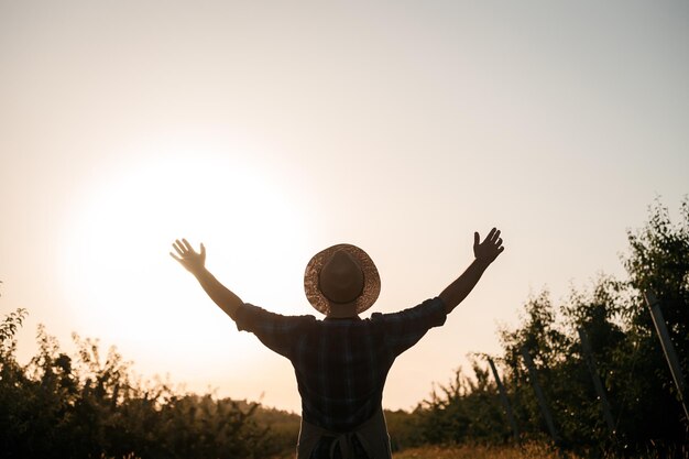 Uma visão traseira do agricultor de pé no pomar ao pôr do sol e levante as mãos Copiar espaço