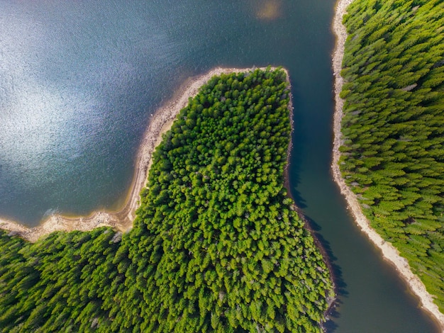 Uma vista aérea da floresta de abetos perto do Grande Lago nas Montanhas Rhodope da Bulgária oferece uma perspectiva deslumbrante sobre a vegetação luxuriante e as águas cristalinas