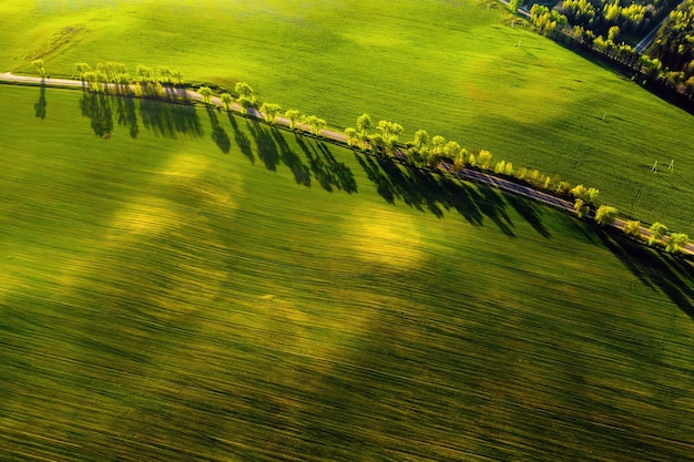 Uma vista aérea de um campo verde e uma estrada na Europa. Natureza da Bielorrússia. Campo verde próprio ao pôr do sol e estrada