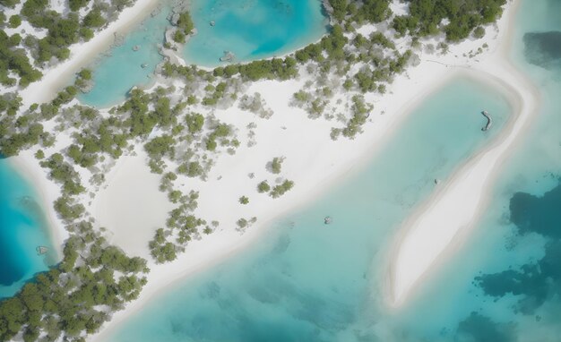 uma vista aérea de uma praia de areia branca e árvores IA generativa