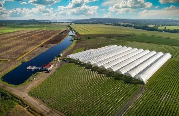 Uma vista aérea mostra estufas para cultivo de morangos de cima agricultura rural casa de madeira na margem do rio