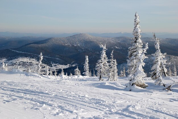 Foto uma vista da floresta de inverno e pista de esqui perto das montanhas sheregesh russia