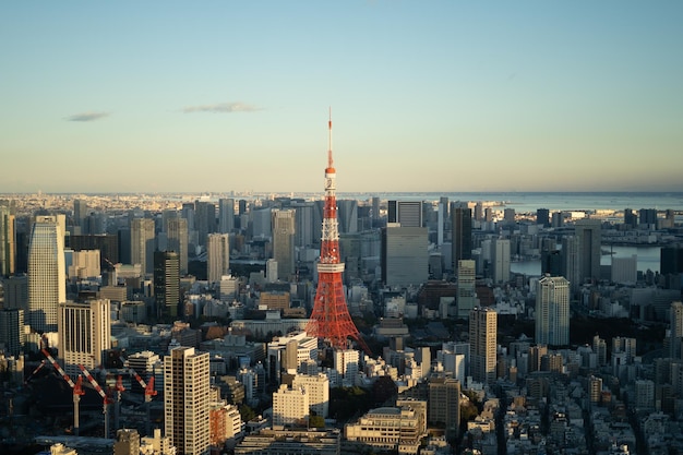 Uma vista da torre de Tóquio do topo de um edifício