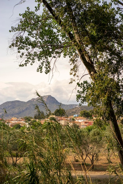 Uma vista das montanhas do parque