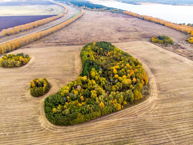 Uma vista de cima das florestas da floresta de outono e um campo de fazenda na floresta Colheita em um campo de trigo Rússia Território de Altai Vista superior pequenas ilhas de floresta no campo