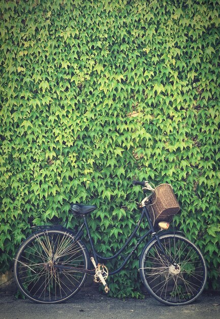 Foto uma vista de uma bicicleta