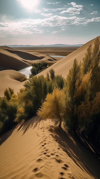 Uma vista de uma duna de areia com um rio em primeiro plano.
