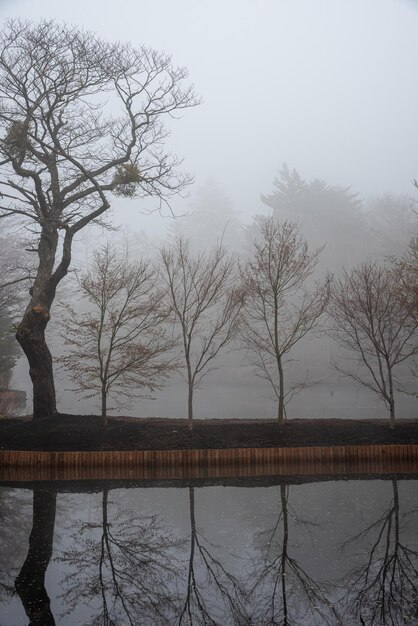 Foto uma vista do cenário de inverno da lagoa de kumobaike, uma árvore murcha refletindo-se na superfície em um dia nebuloso em karuizawa