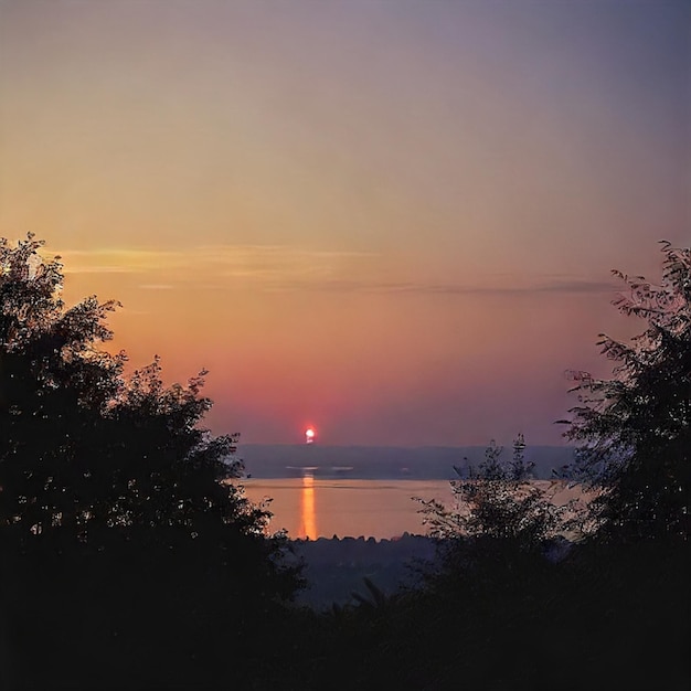 uma vista do pôr-do-sol de uma floresta com uma luz vermelha no céu