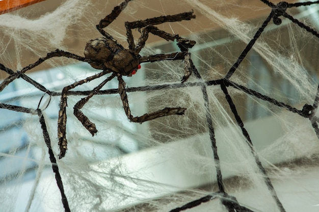 Uma vista lateral de aranha a partir da qual uma teia de aranha pende