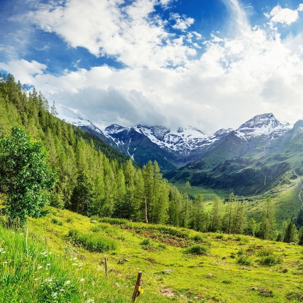 Uma vista magnífica dos Alpes.