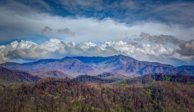 Uma vista maravilhosa da montanha de fumaça, a cidade do Tennessee na América