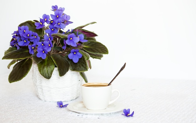 Uma xícara de café preto na mesa com uma flor violeta caseira com uma cópia do espaço.