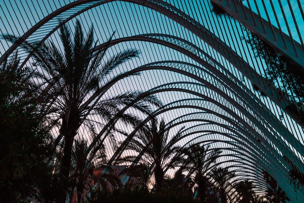 Umbracle moderno parque de palmeras en Valencia España