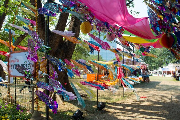 Umbrelhas multicoloridas penduradas na árvore