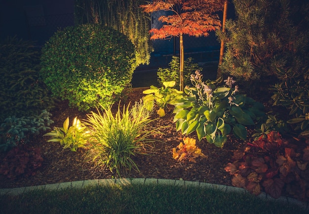 Umgebungsbeleuchtung im Garten Hinterhof Gartenerleuchtungssystem Farbige Pflanzen in der Nacht