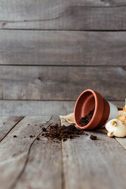 Umgestürzter Keramiktopf mit dem Boden auf einem alten grauen Holztisch, Tulpenzwiebeln. Hochwertiges Foto