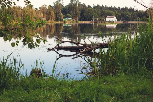 Umgestürzter toter Baum im Wasser mit dem Spiegelbild des Himmels und der Äste am Ufer