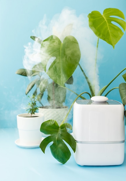 Umidificador e ambientador doméstico para limpar o ar e umidificar as plantas da casa