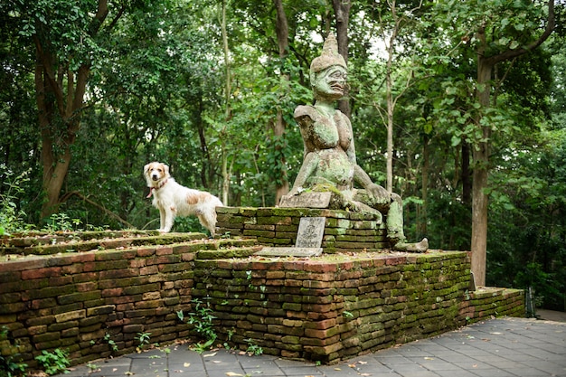 Umong, templo, (wat, umong), antiga, religiosas, staue, chiang mai, tailandia