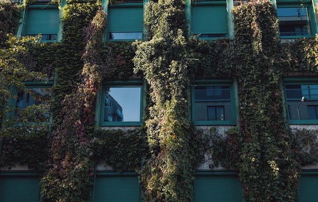 Umweltfreundliches Bauen mit grünen Pflanzen in europäischer Öko-Architektur