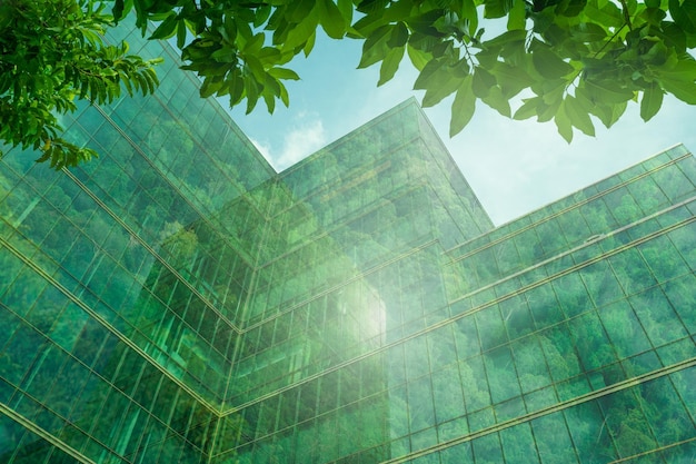 Umweltfreundliches Gebäude in moderner Stadt Nachhaltiges Bürogebäude aus Glas mit Baum zur Reduzierung von Kohlenstoff