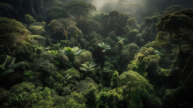 Umweltlandschaft und Pflanzen mit Bäumen im Wald für Naturnachhaltigkeit und Florafrieden