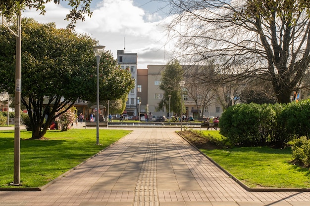 Foto un día soleado en la plaza