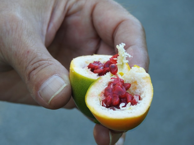 Foto un maracuya de frutos rojos