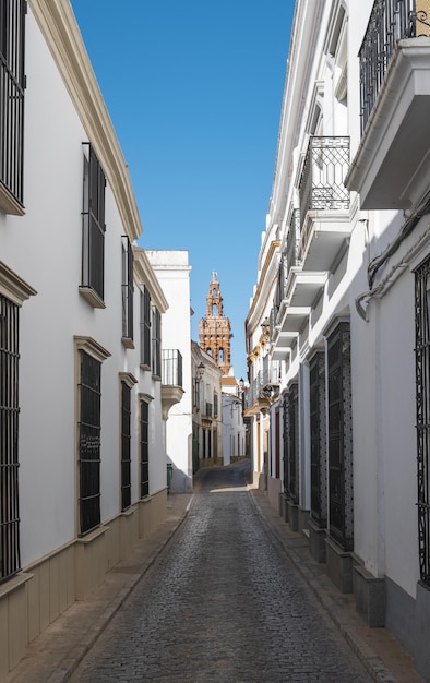 Una calle estrecha y adoquinada con tradicionales casas blancas en la villa de Jerez de los Caballeros Espanha