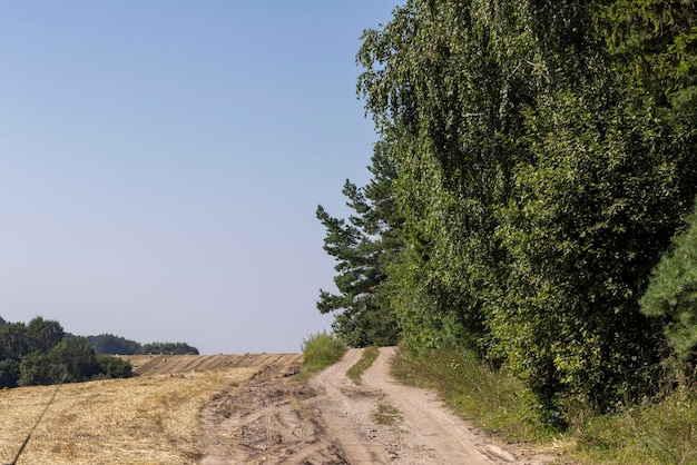 Unbefestigte Straße für Autos mit Gras und Bäumen