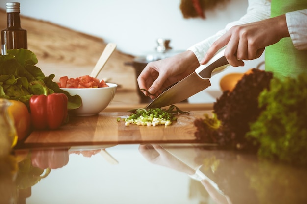 Unbekannte menschliche Hände kochen in der Küche, eine Frau schneidet grüne Zwiebeln, eine gesunde Mahlzeit und ein vegetarisches Lebensmittelkonzept.