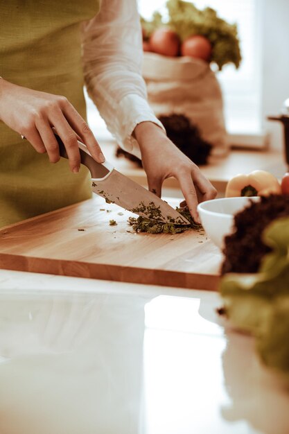 Unbekannte menschliche Hände kochen in der Küche. Frau ist mit Gemüsesalat beschäftigt. Gesunde Mahlzeit und vegetarisches Lebensmittelkonzept.