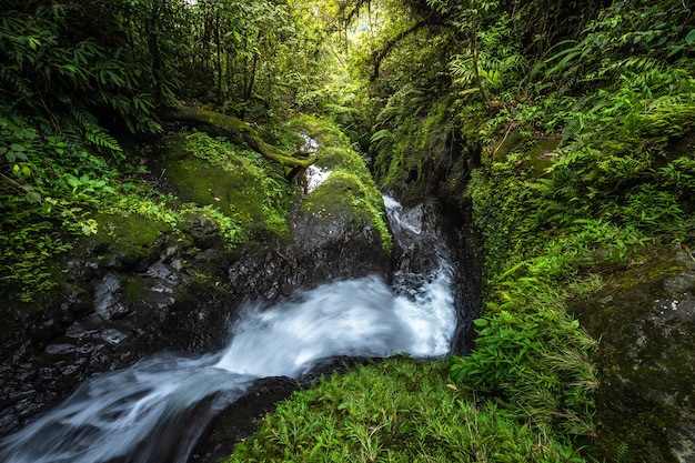 unbekannter Flusslauf