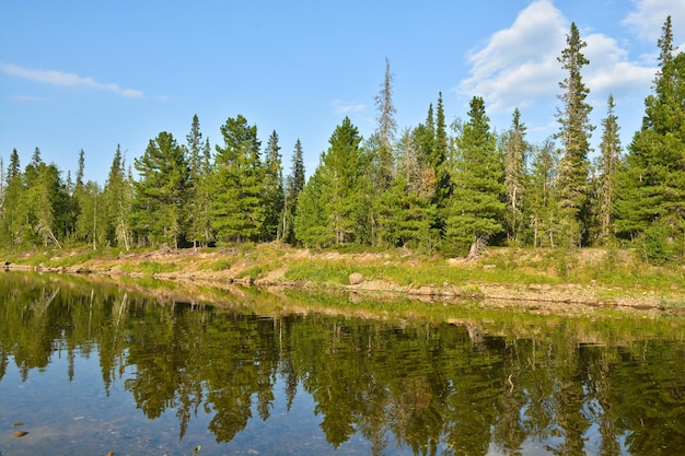 Unberührte Komi-Wälder