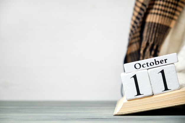 Undécimo día del calendario del mes de otoño de octubre con espacio de copia