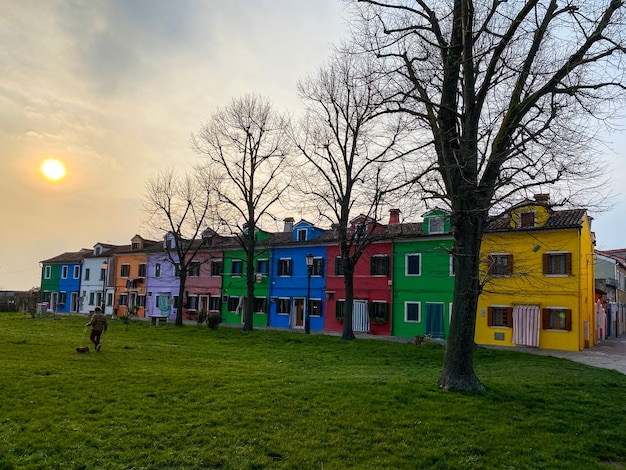 Unerkennbare Person, die ihren Hund auf einem Grasplatz mit Bäumen, typisch und sehr farbenfroh für Burano bei Sonnenuntergang, spazieren geht.