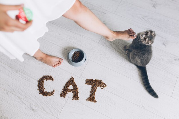 Unerkennbarer Eigentümer, der mit Katze spielt