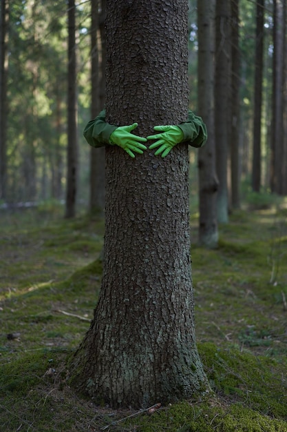 Unerkennbarer Mann in grünen Latexhandschuhen, der den Wald als Symbol umarmt