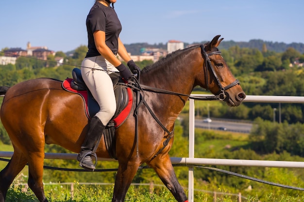 Unerkennbares Mädchen, das auf einem Pferd reitet, das mit einem braunen Pferd reitet, gekleideter schwarzer Reiter mit Sicherheitskappe