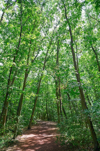 Unesco Naturpark Bergstrasse Odenwald Deutschland