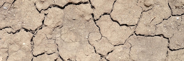 Unfruchtbares Land im Sommer trockene tote Erde in trockenem Landschaftshintergrund für die globale Erwärmung