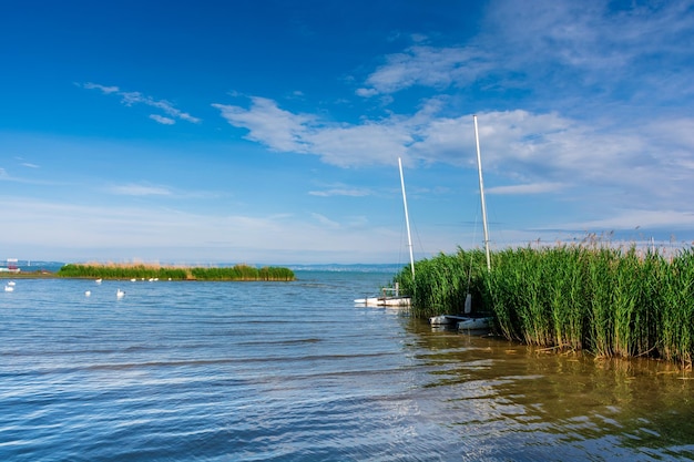 Ungarn Balaton schöne Sommerlandschaft mit Booten auf dem Wasser