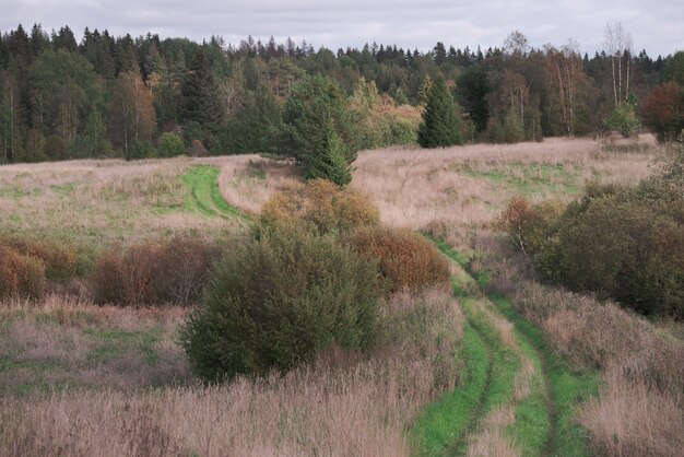 Ungepflegter Feldweg über das Feld. Malerische Landschaft